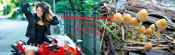 прущие крисы Ладушкин